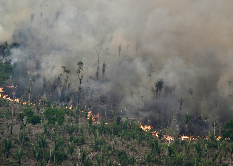 No último ano, 72% da área queimada no Brasil foram de vegetação nativa