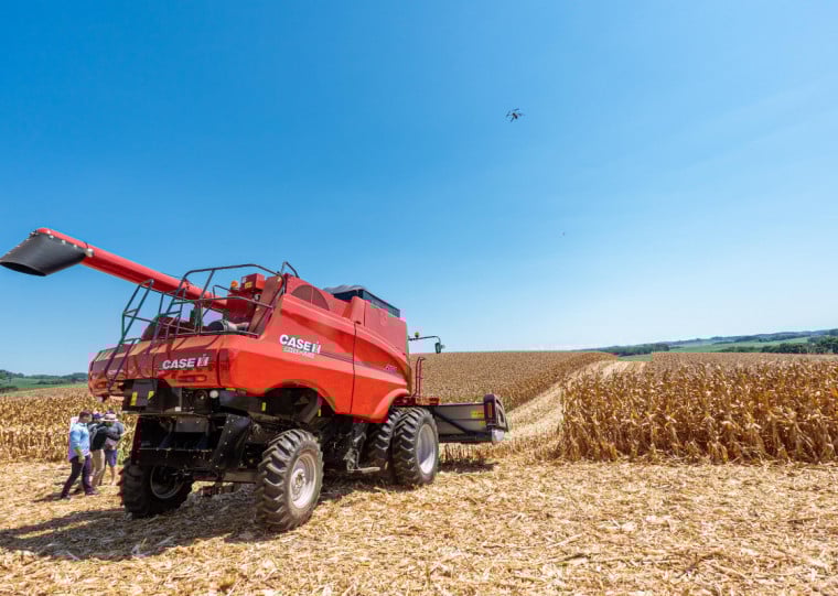 Aumento da produção do grão depende das condições climáticas