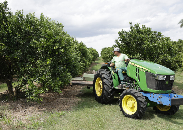 Tratores para agricultura familiar são novidade da marca e aumentam a produtividade no campo