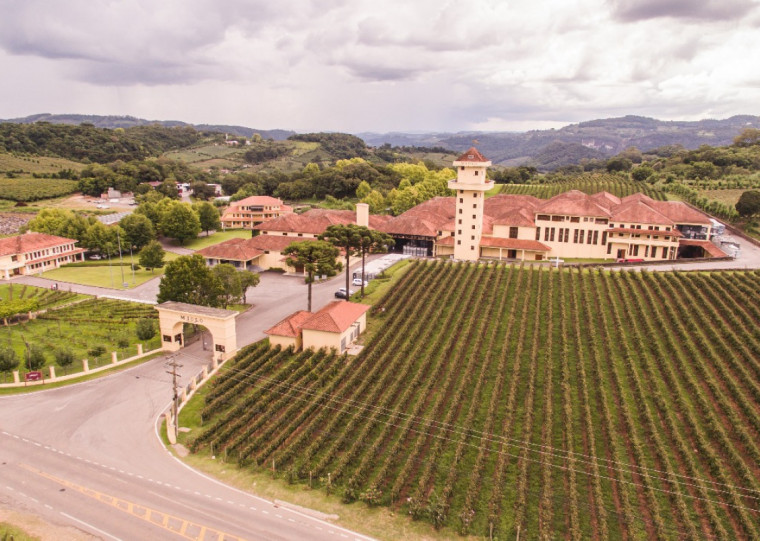 Setor teve retração de 40% em 2024 por conta dos problemas climáticos, mas retomada em 2025 ultrapassou as projeções