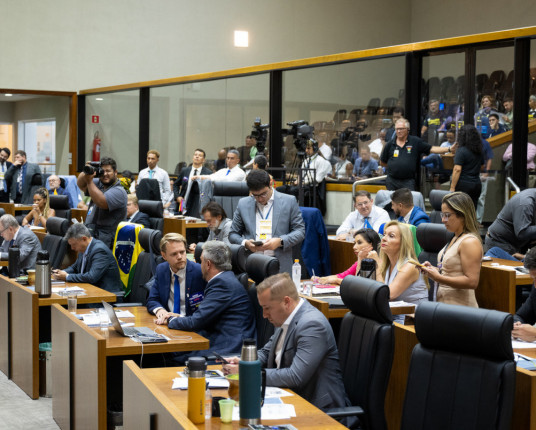 Câmara segue votação de projeto que transforma conselho do Dmae em consultivo