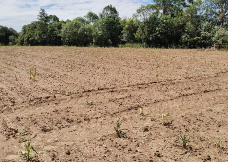 Município do Vale do Rio Pardo decretou situação de emergência