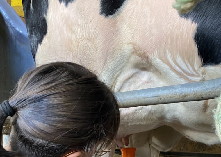 É preciso ter um rígido controle em todo o processo dentro da propriedade para obter uma boa remuneração