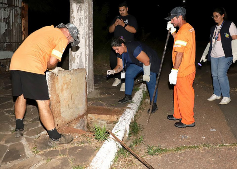 Equipes buscam animal à noite, período que os animais têm mais atividade; ao todo, 26 foram capturados