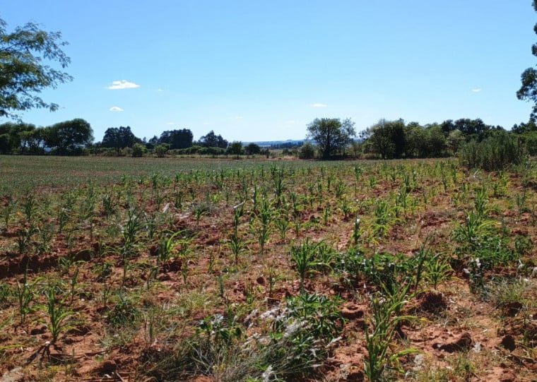 Em Manoel Viana, no Sul do RS, decreto foi publicado em 15 de janeiro e reconhecido pelo governo federal em 3 de fevereiro 