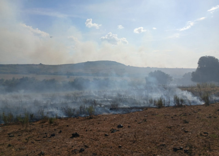Prefeitura de Santa Margarida do Sul tem atuado diariamente no combate às chamas