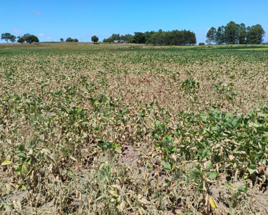 Dívida do agro gaúcho com vencimento em 2025 supera os R$ 30 bilhões