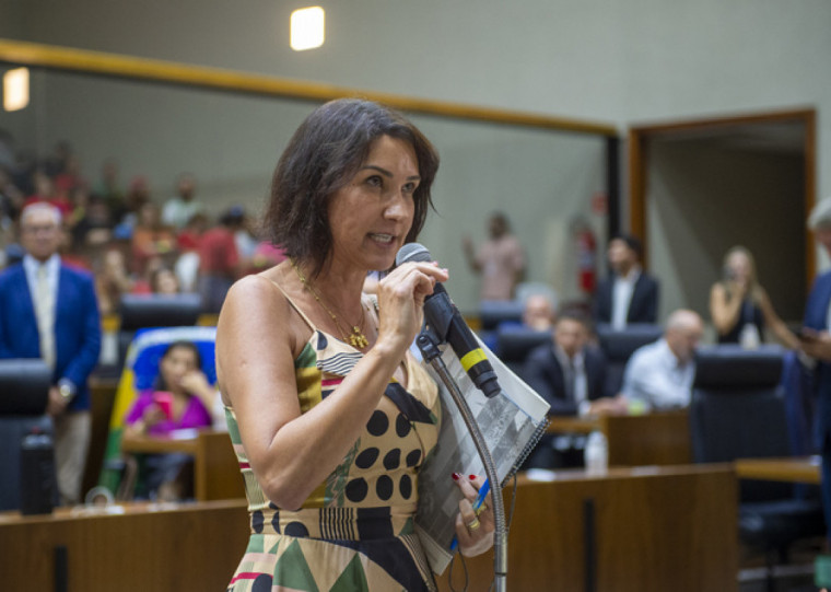 O adiamento foi feito em solidariedade à vereadora Fernanda Barth (PL), que assina o projeto e está em licença médica