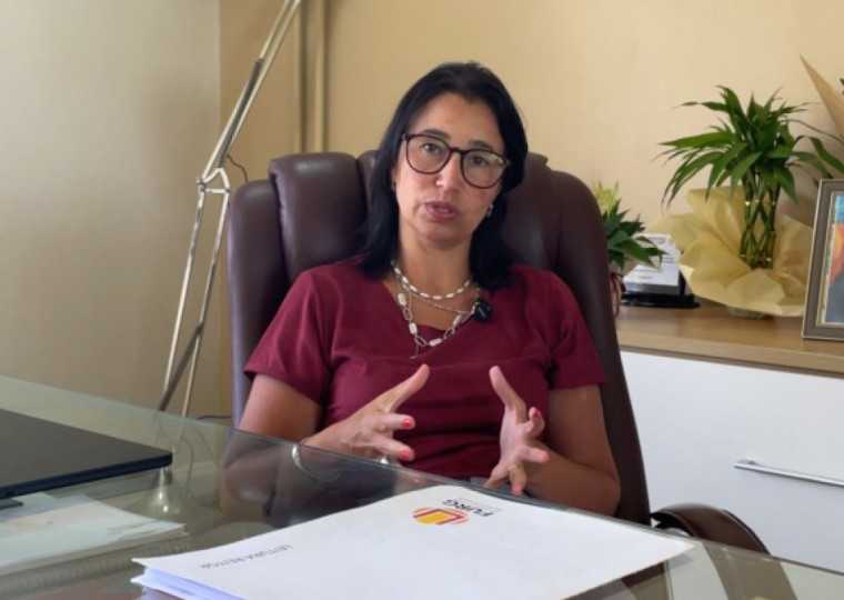 Segundo Suzane, objetivo é viabilizar um ambiente mais favorável para que essas iniciativas possam evoluir