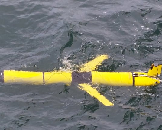 Iniciativa da Petrobras irá expandir monitoramento da Bacia de Pelotas e de outras áreas costeiras