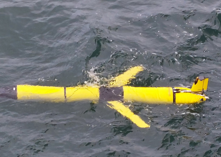 Veículo autônomo de subsuperfície glider será usado nos trabalhos
