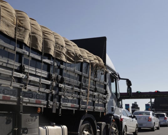 Fetransul acompanha mercado e aponta efeitos da volatilidade do diesel