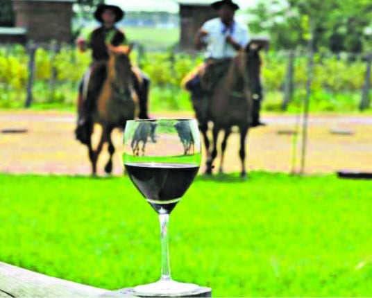 Campanha é a nova fronteira do enoturismo no Estado