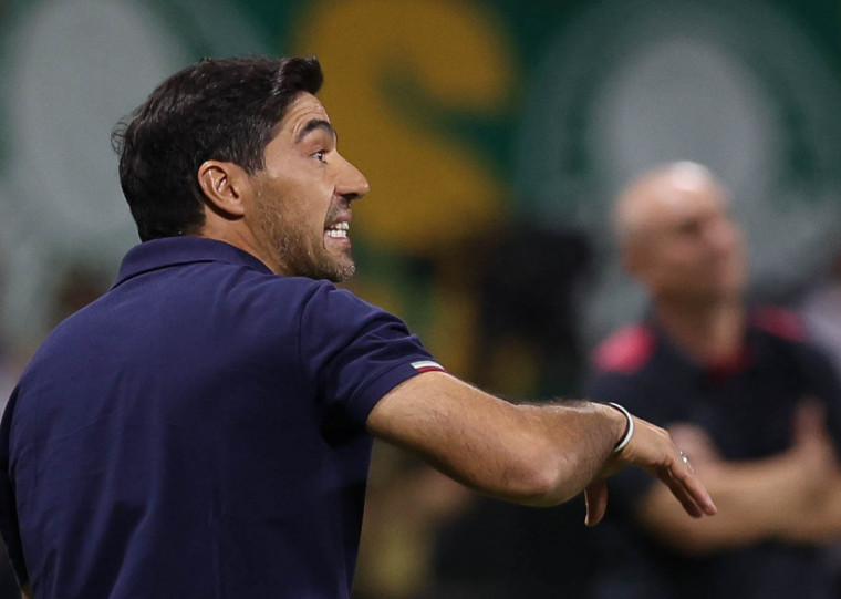 Abel entende o argumento dos jogadores que pediram a proibição do gramado sintético no Brasil