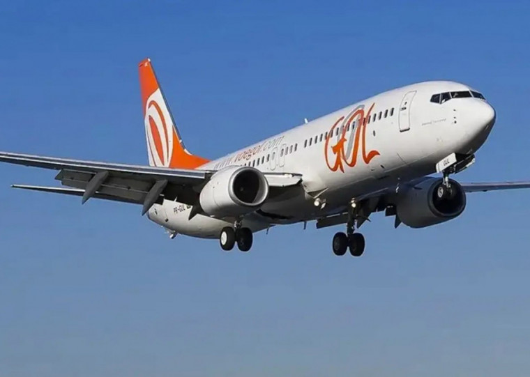 Colisão ocorreu 30 minutos depois da decolagem e não houve impacto para os passageiros