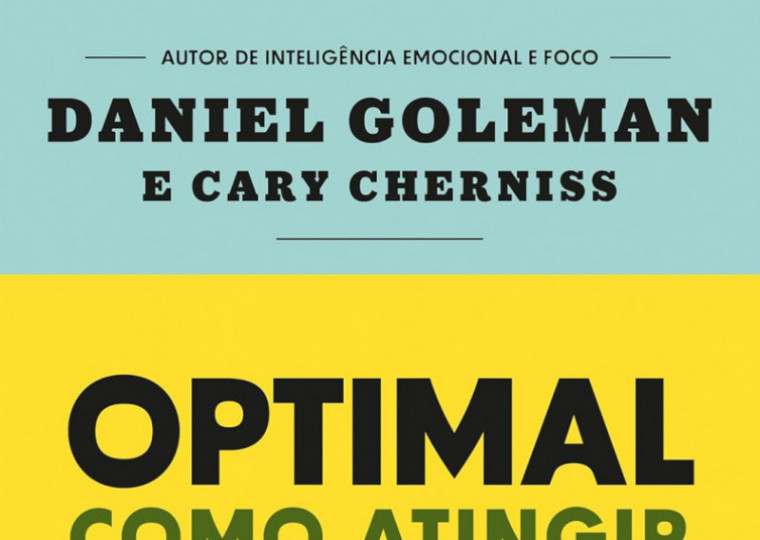 Optimal: Como atingir o desempenho máximo nas equipes e na liderança