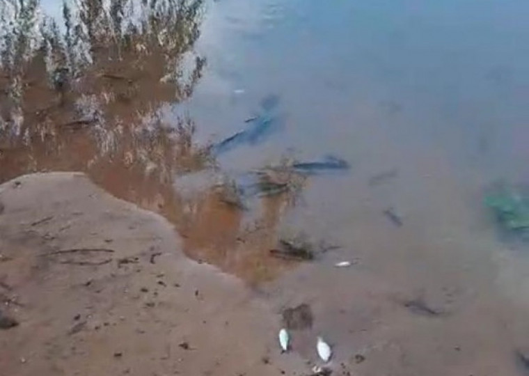 Oxigênio diminui com o aumento da temperatura