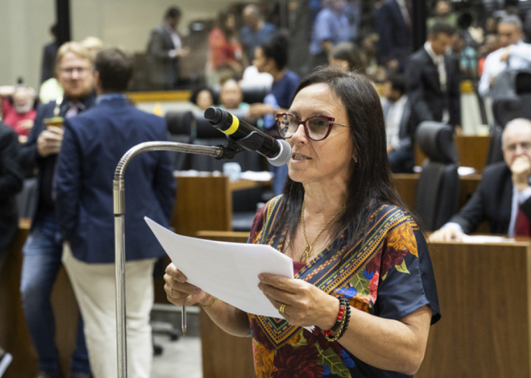Vice-líder da base governista, vereadora Cláudia Araújo (PSD), solicitou o adiamento da matéria