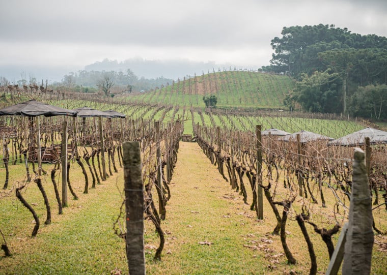 Desde 2012, o Vale dos Vinhedos é patrimônio histórico e cultural do Rio Grande do Sul