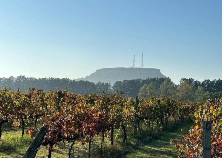 Entidade defende que as "propriedades autênticas" devem ter seu potencial melhor aproveitado