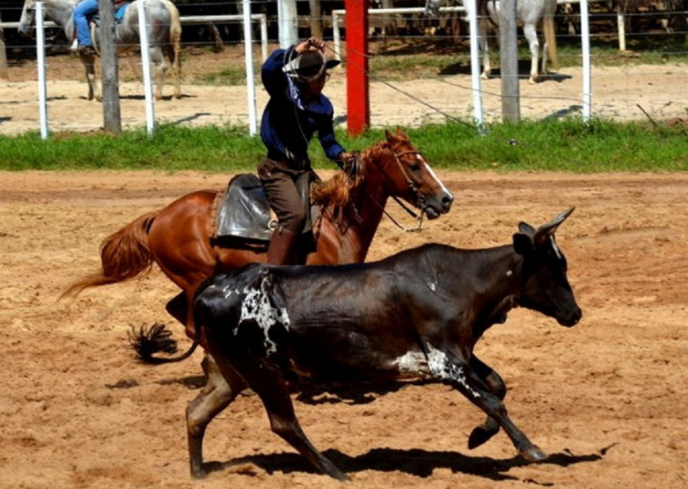 Provas devem atrair público de 30 mil pessoas, segundo a organização