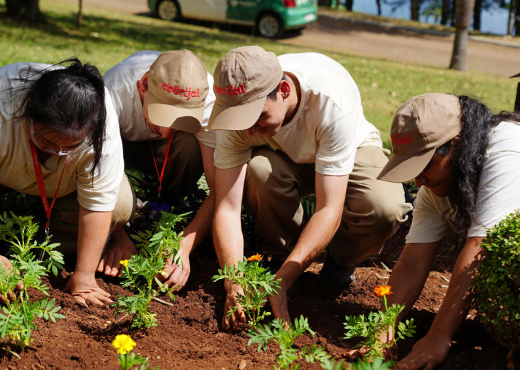 Os canteiros receberam as mudas de flores produzidas pelo projeto Viveiro de Cidadania