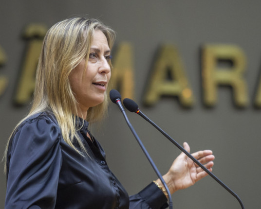 Vereadora deve assumir comando de Secretaria do Desenvolvimento Econômico de Porto Alegre