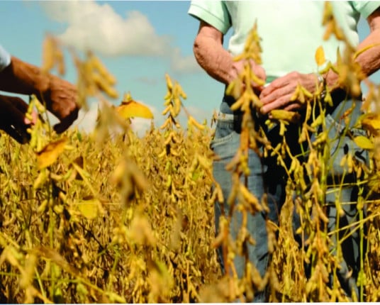 Cooperativismo agropecuário resiste no Norte do Estado