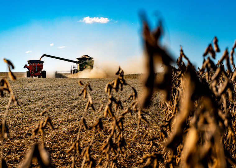 Cadeia produtiva do agronegócio é uma das mais afetadas pelas novas regras