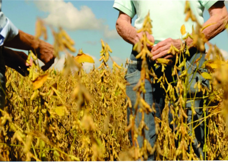 Do orgulho ao trauma: o cooperativismo agropecuário se mantém no Alto Uruguai