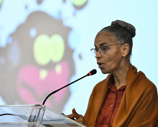 Marina defende mudanças "estruturais" em PL que muda regras ambientais