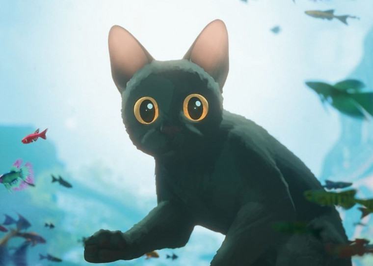 Exibição adaptada para bebês com menos de 18 meses retorna ao Shopping Iguatemi nesta quarta-feira (19)