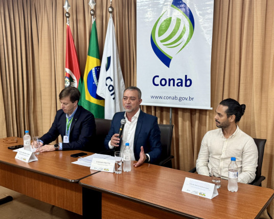 Conab anuncia antecipação dos contratos de opção de venda de arroz