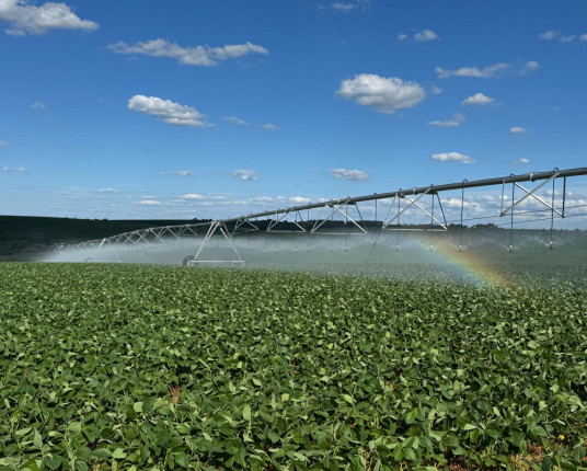 Agronegócio gaúcho busca eliminar entraves para ampliar irrigação
