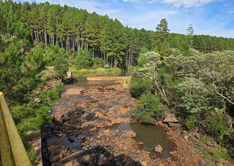 Nas lavouras, prejuízo ultrapassa os R$ 25 milhões