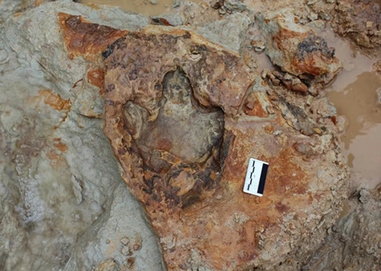 A rocha marca com detalhes a presença de um dinossauro carnívoro do Período Jurássico no Sul do Brasil. 