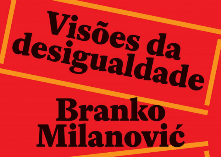 VISOES DA DESIGUALDADE