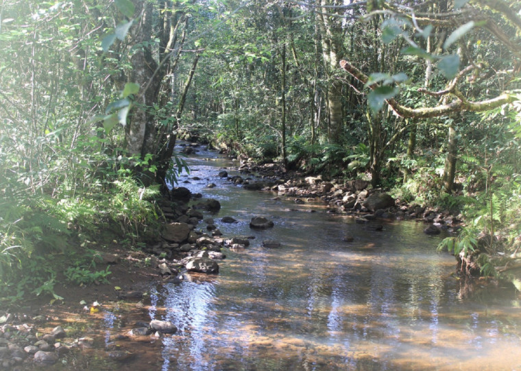 Município decretou situação de emergência por conta da estiagem