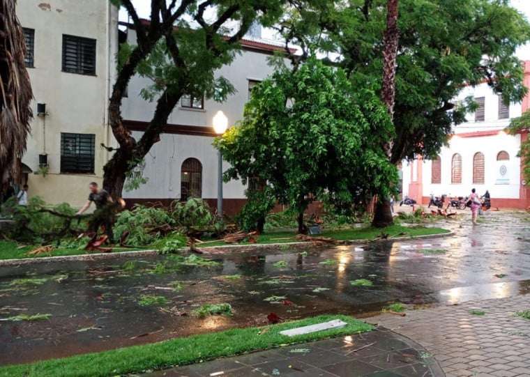 Segundo a CEEE Equatorial, as rajadas de vento passaram de 111 km/h e afetaram a rede elétrica da Capital
