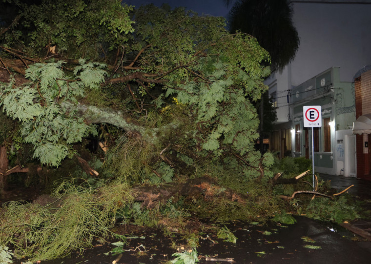 Em Porto Alegre, árvores caídas tomaram conta das calçadas 