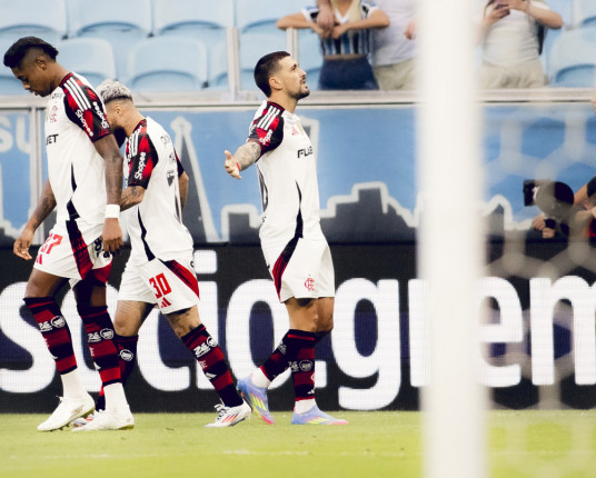 Grêmio perde para o Flamengo em casa e aumenta crise