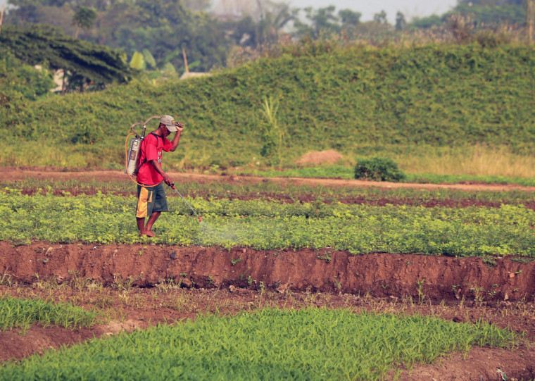 Proibi&ccedil;&atilde;o do agrot&oacute;xico paraquat foi determinada pela Anvisa em 2017, pela alta toxicidade do produto
