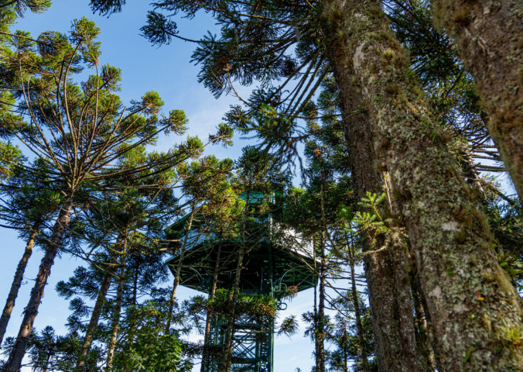 Observatório Panorâmico do parque, uma das principais atrações, passou por uma reformulação geral