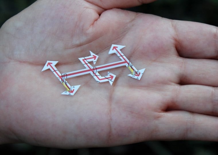 Mostra ‘Ruído de fundo: saída’, de Hélio Fervenza, propõe uma experiência sensorial e crítica a partir de pontuações gráficas ampliadas, frases evocativas e fotografias