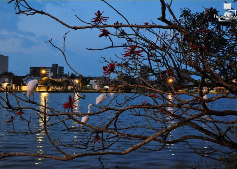 Lagoa do Violão, um dos cartões postais de Torres, também é um bairro residencial que recebe cada vez mais pessoas interessadas em levar um estilo de vida diferente das grandes cidades