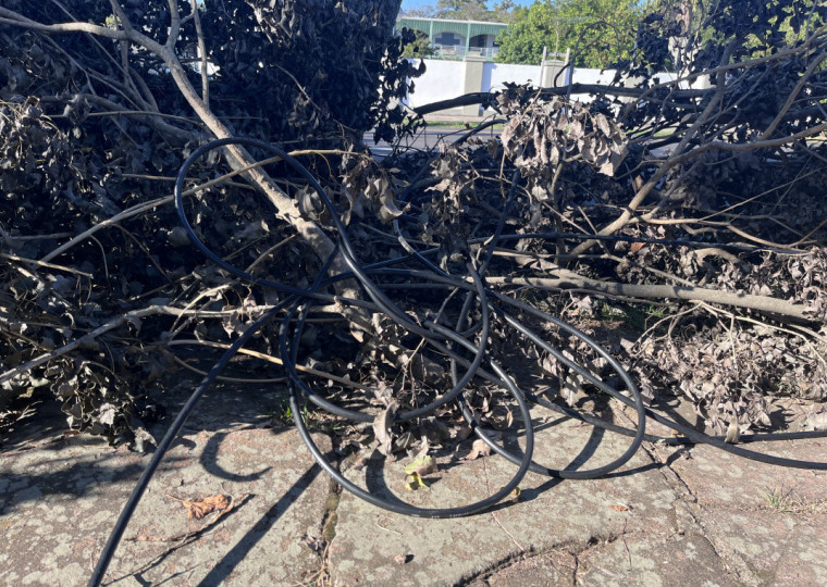 Pelo menos dois comércios da região estão sem internet e telefone, devido ao corte dos fios durante a poda de árvores