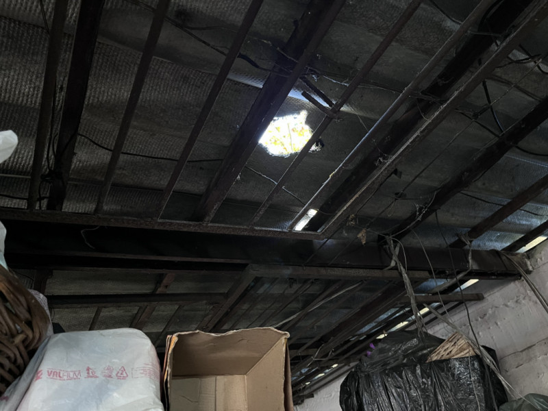 Poda de árvores da Equatorial danificou as telhas de uma floricultura na Av. Oscar Pereira | Luana Pazutti/ JC