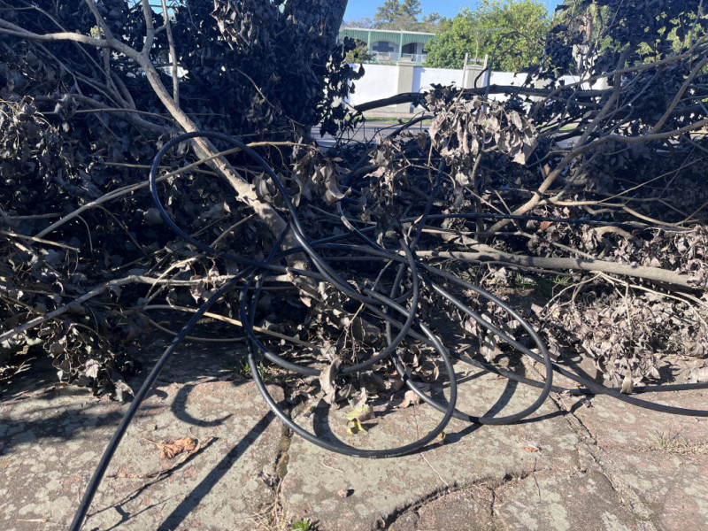 Desde o dia 26 de abril, comerciantes estão sem internet e telefone | Luana Pazutti/ JC 