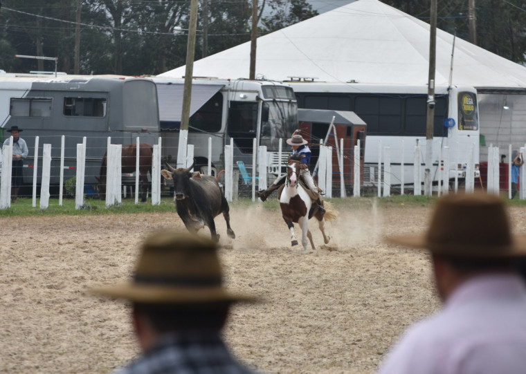Premiação supera os R$ 100 mil, divididos entre as diversas modalidades das provas campeira e artística