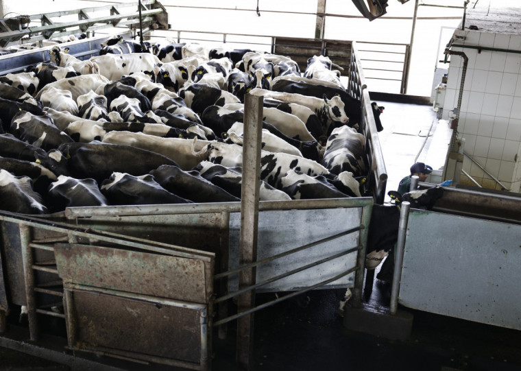 Houve recuo nos preços agropecuários ao produtor (3,57% para -1,45%)